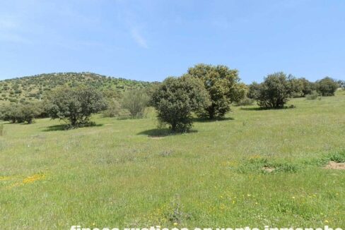 660_fincas-en-venta-0068