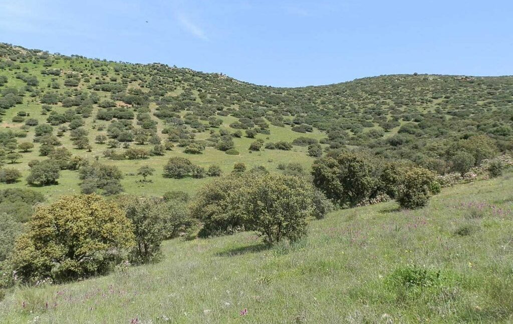 660_fincas-en-venta-0069