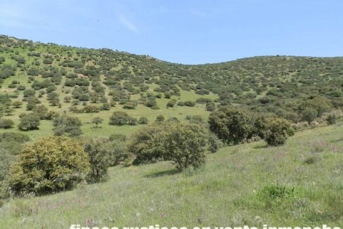 660_fincas-en-venta-0069
