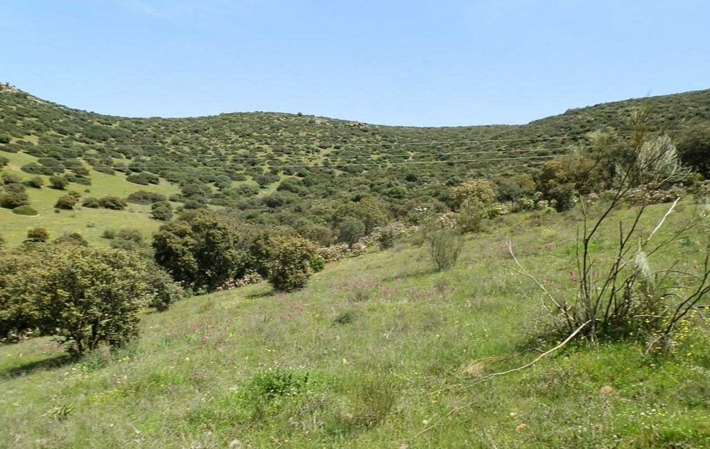 660_fincas-en-venta-0070