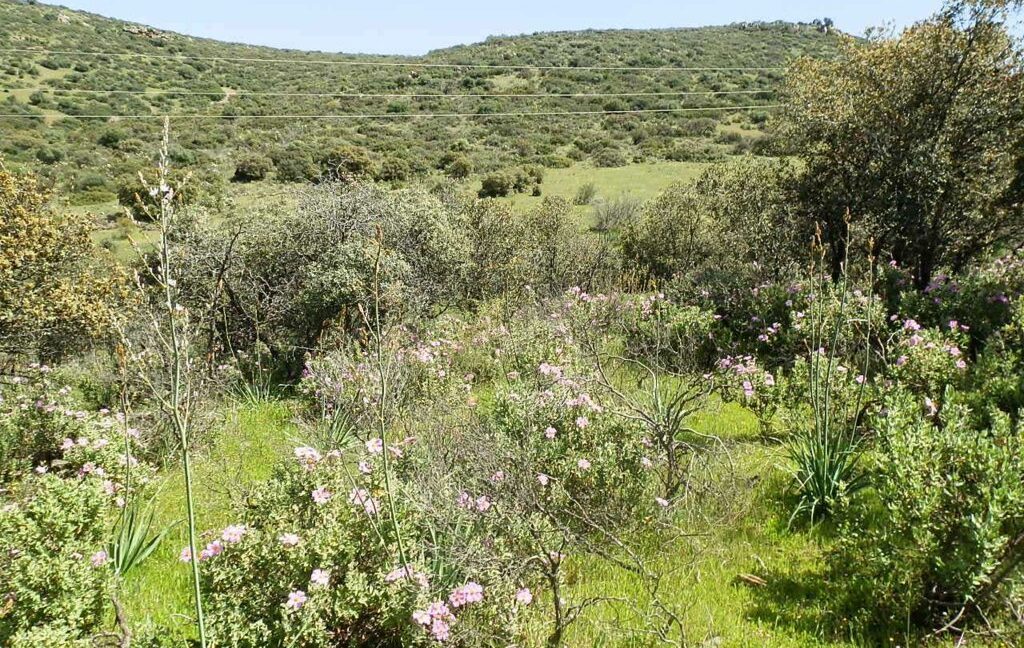 660_fincas-en-venta-0071
