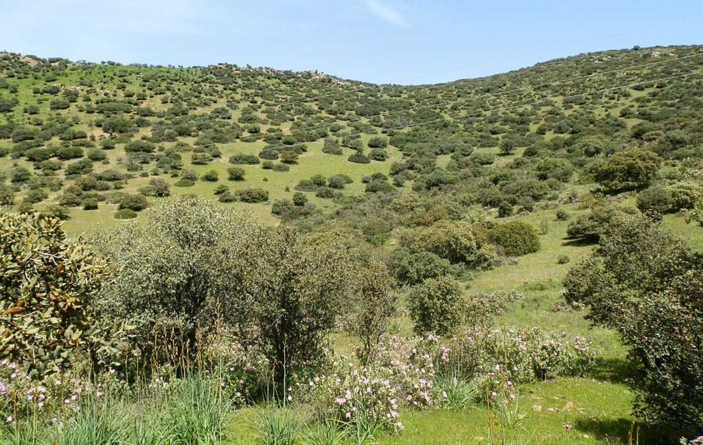 660_fincas-en-venta-0072