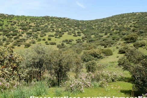 660_fincas-en-venta-0072