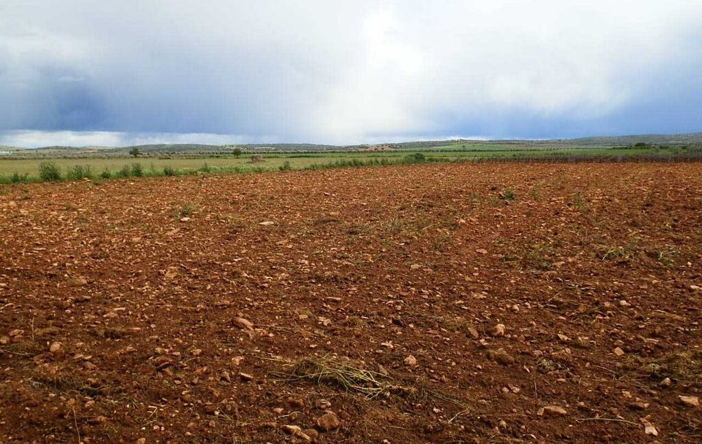 661_fincas-en-venta-0002