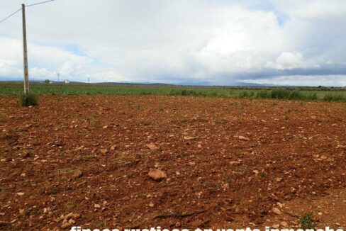 661_fincas-en-venta-0005