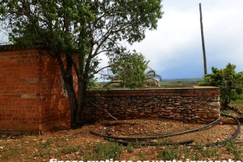 661_fincas-en-venta-0007