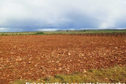 661_fincas-en-venta-0008