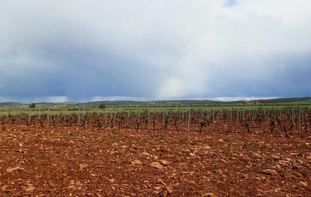661_fincas-en-venta-0009