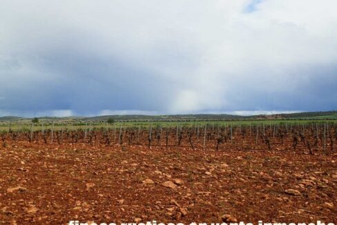 661_fincas-en-venta-0009