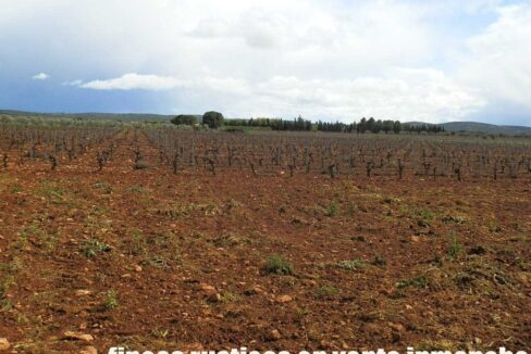 661_fincas-en-venta-0014