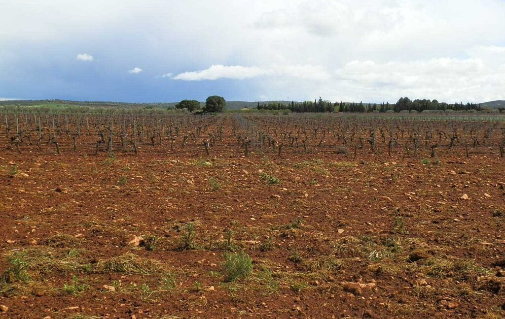 661_fincas-en-venta-0015