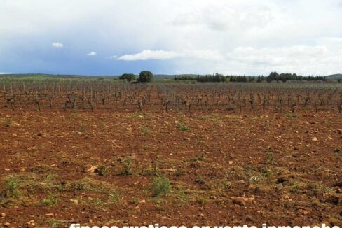 661_fincas-en-venta-0015