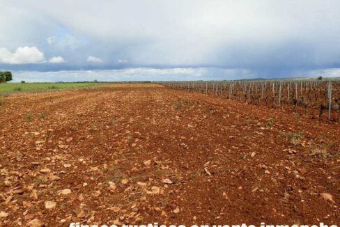 661_fincas-en-venta-0016