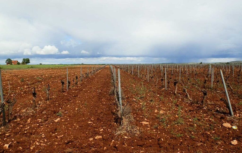 661_fincas-en-venta-0017