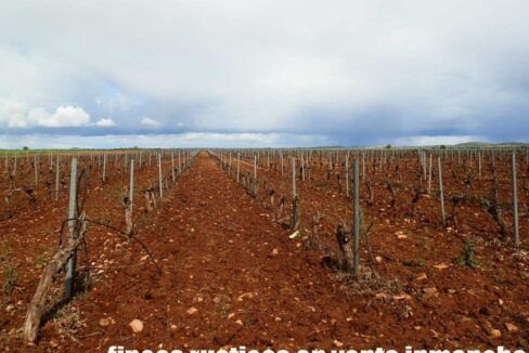 661_fincas-en-venta-0018