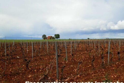 661_fincas-en-venta-0019