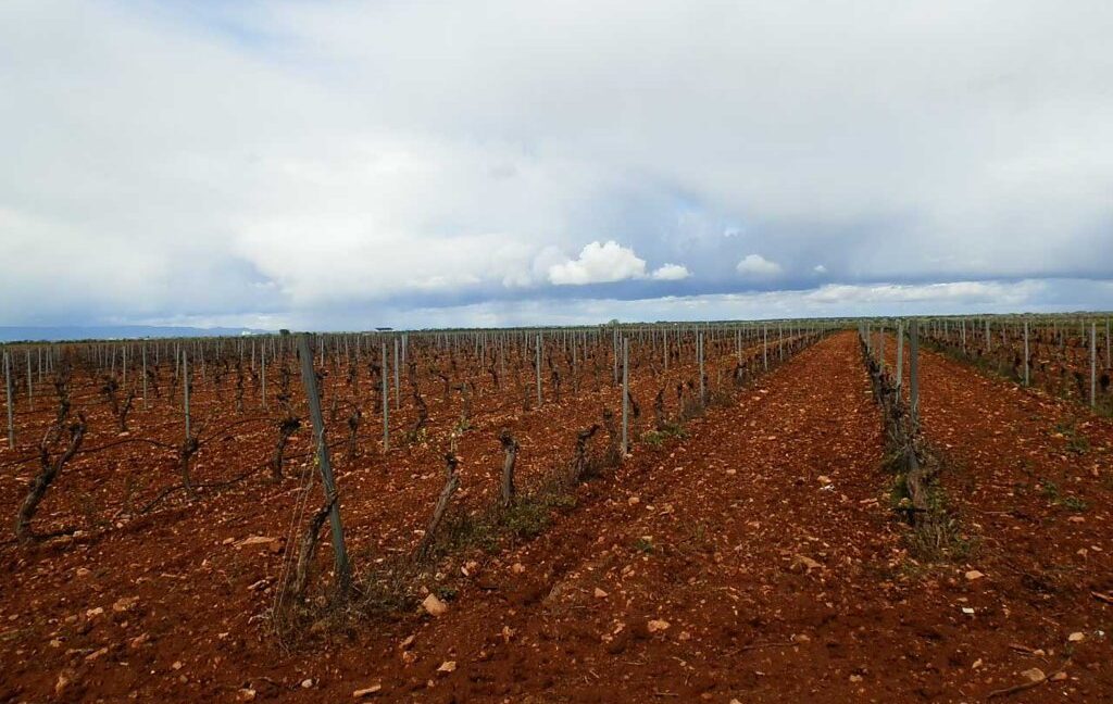 661_fincas-en-venta-0020