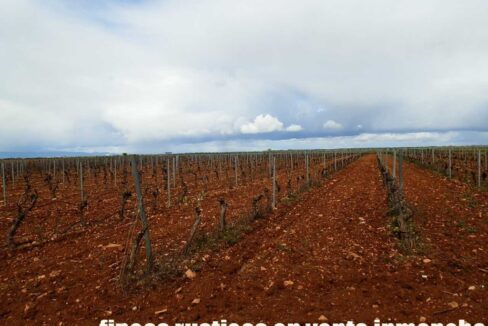 661_fincas-en-venta-0020