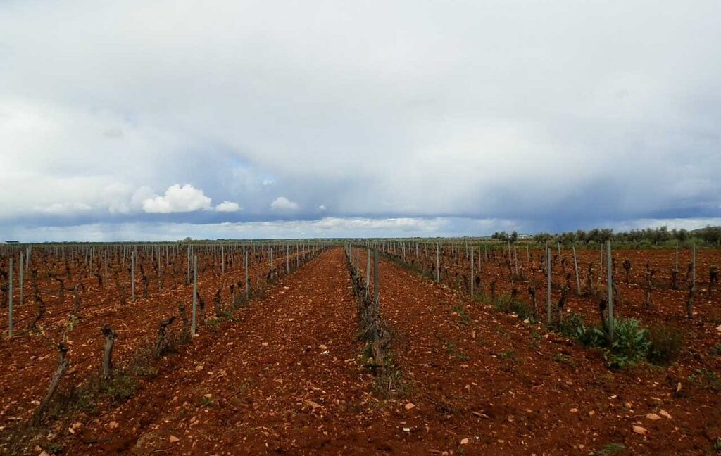 661_fincas-en-venta-0021