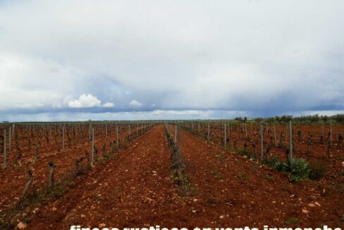 661_fincas-en-venta-0021