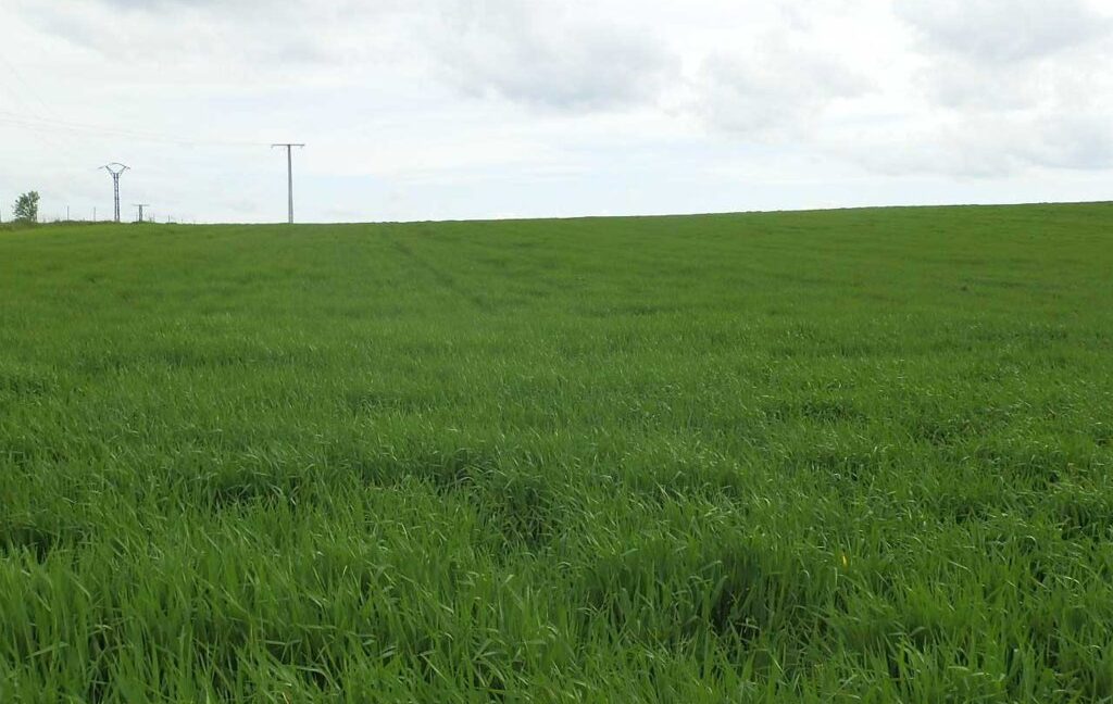 662_fincas-en-venta-002