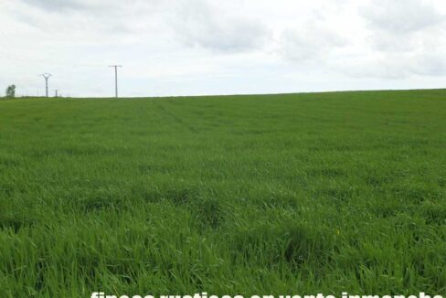 662_fincas-en-venta-002