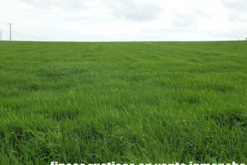 662_fincas-en-venta-003