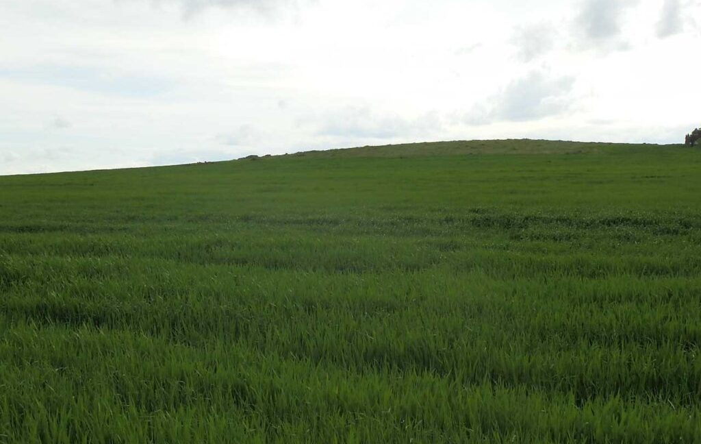 662_fincas-en-venta-005