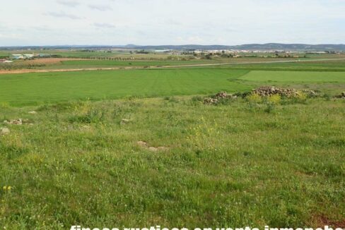 662_fincas-en-venta-007
