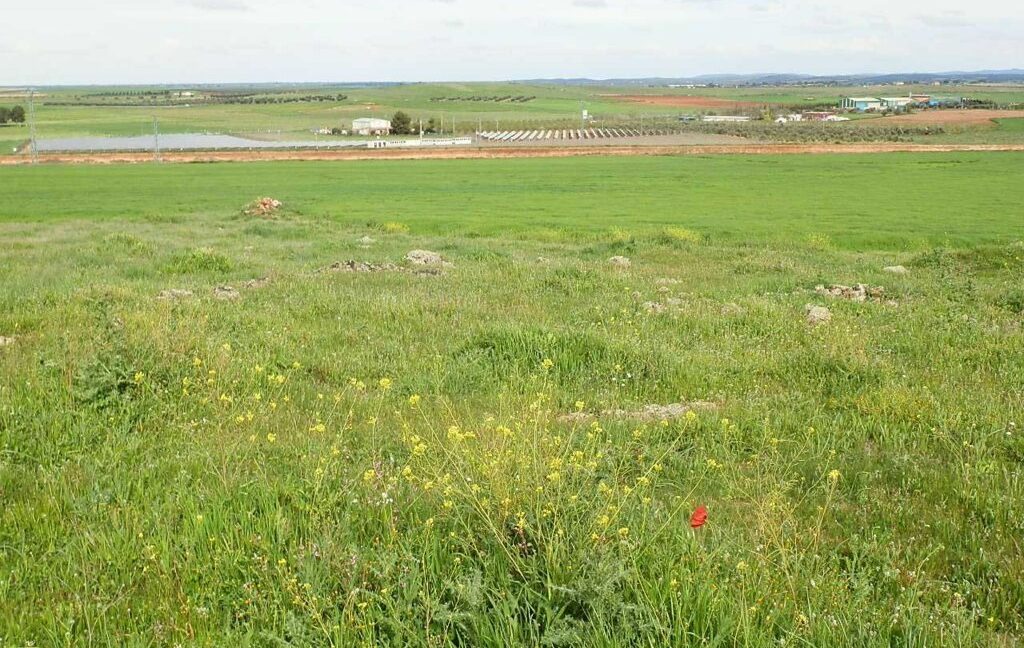 662_fincas-en-venta-008