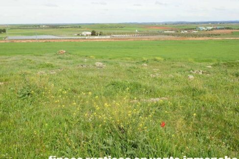 662_fincas-en-venta-008