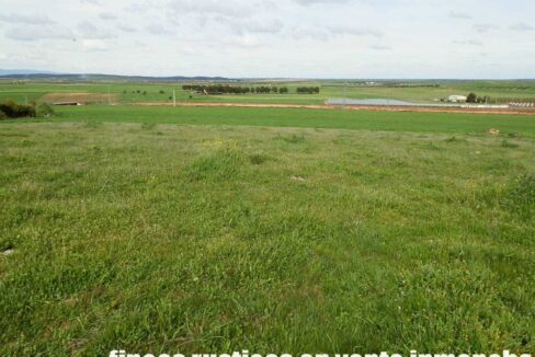 662_fincas-en-venta-010
