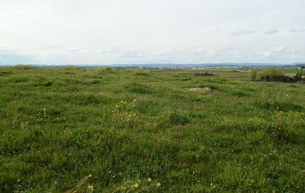 662_fincas-en-venta-011