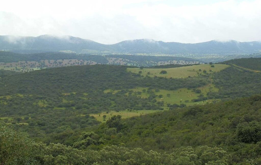 663_fincas-en-venta-013