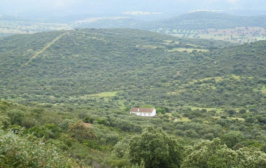 663_fincas-en-venta-014