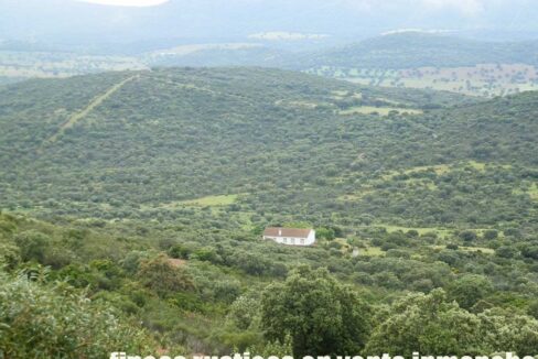 663_fincas-en-venta-014