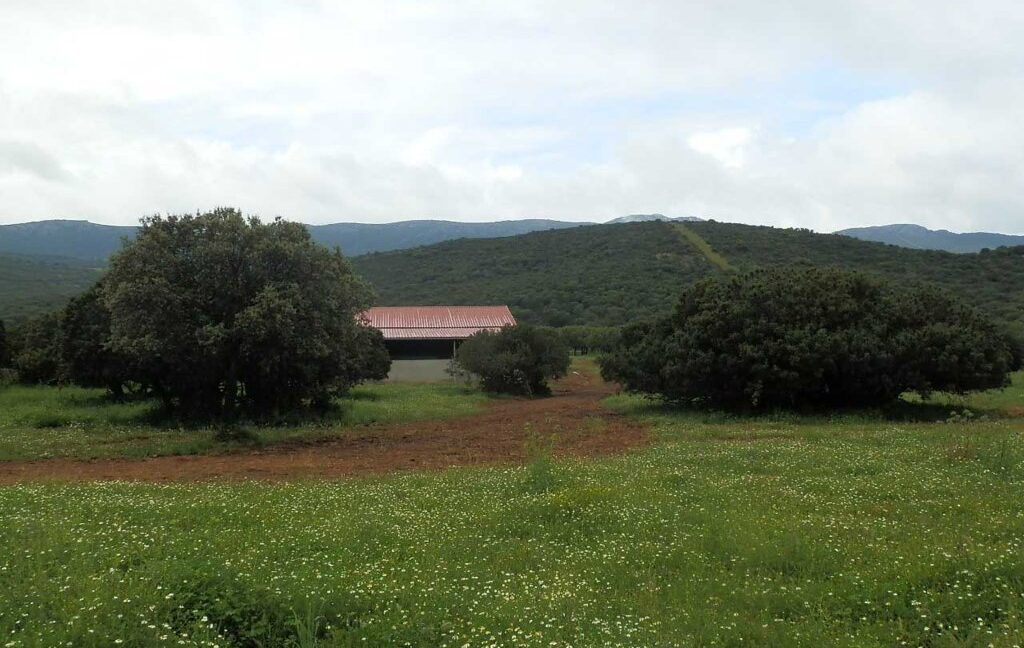 663_fincas-en-venta-017