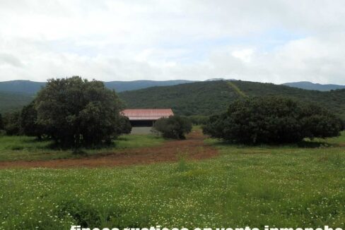 663_fincas-en-venta-017