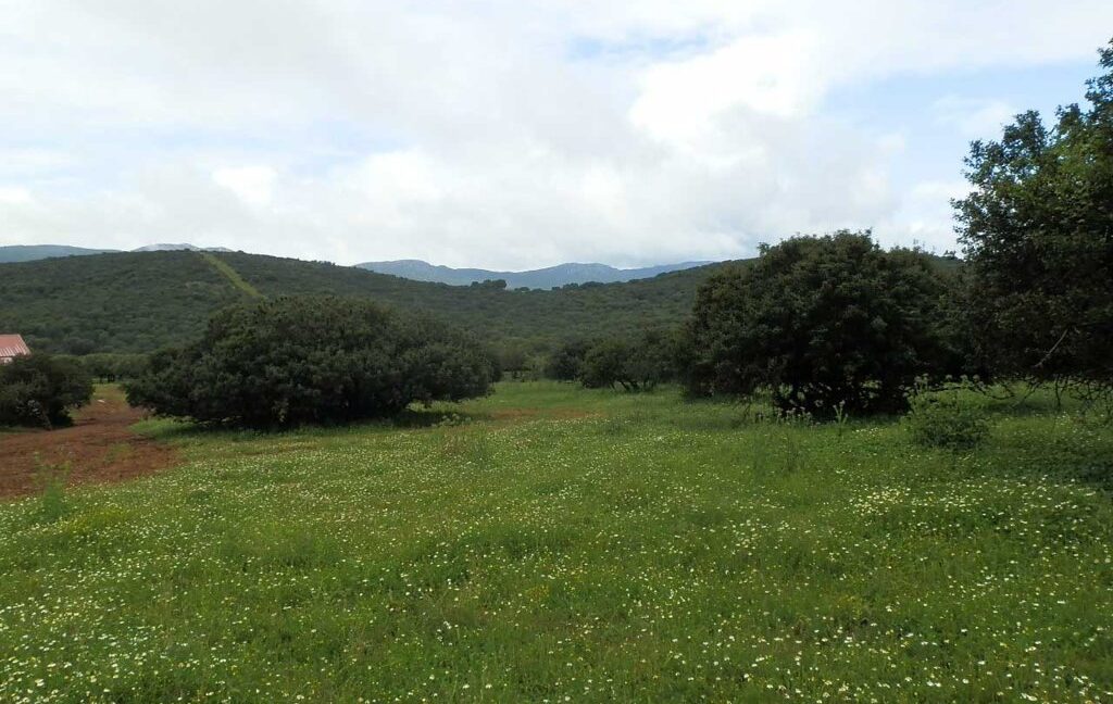 663_fincas-en-venta-018