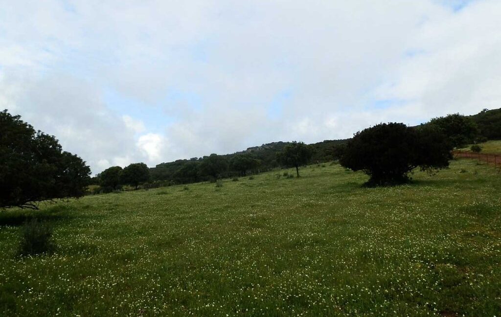 663_fincas-en-venta-019
