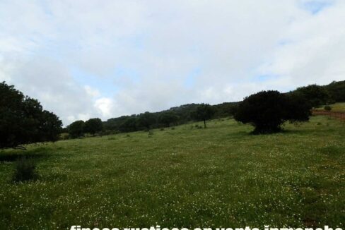 663_fincas-en-venta-019