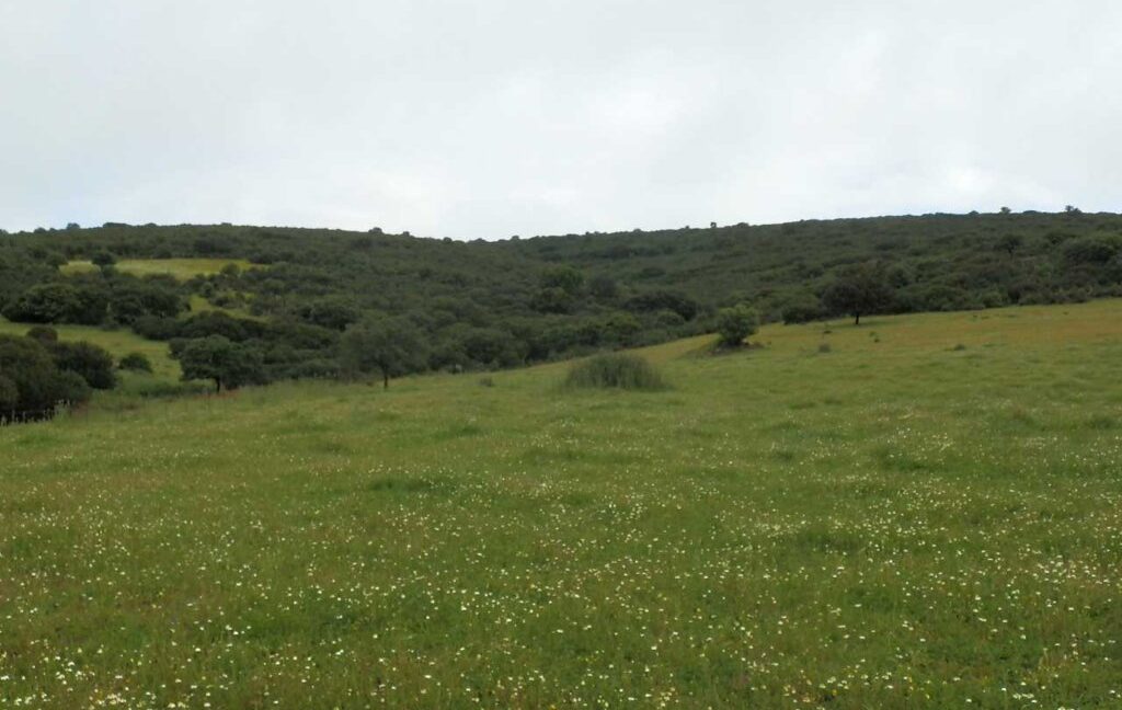 663_fincas-en-venta-026