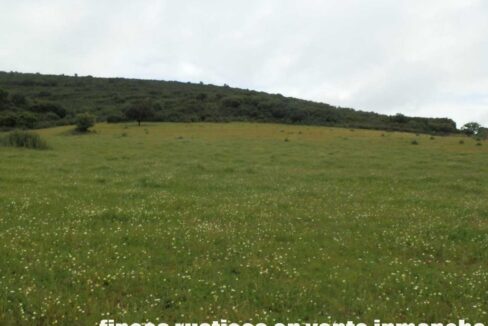 663_fincas-en-venta-027