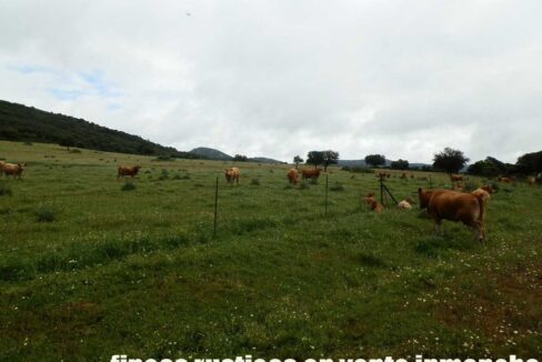 663_fincas-en-venta-028