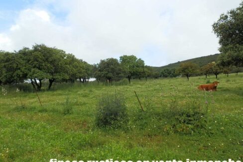 663_fincas-en-venta-030