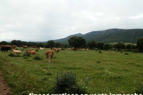 663_fincas-en-venta-031