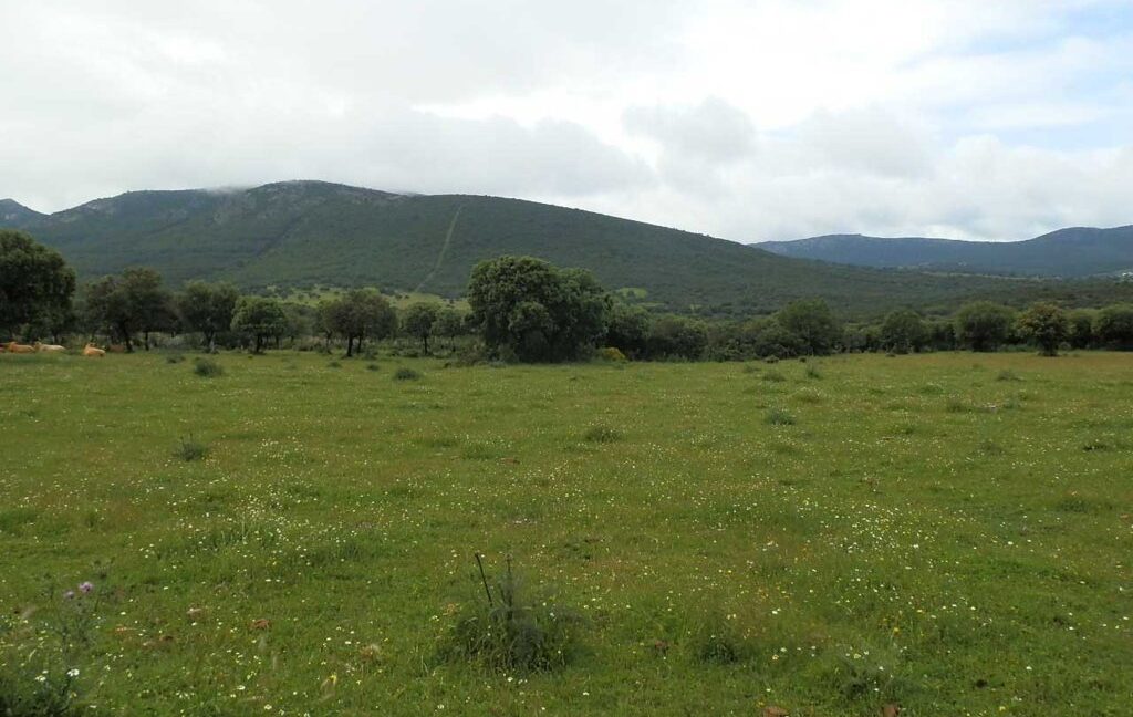 663_fincas-en-venta-032