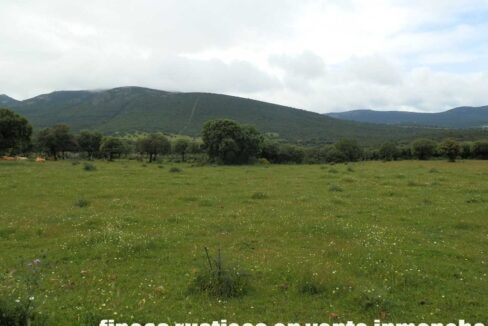 663_fincas-en-venta-032