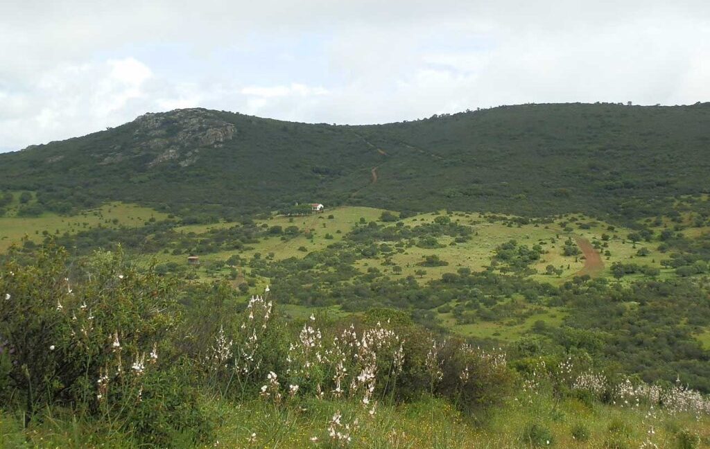 663_fincas-en-venta-036