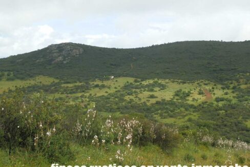 663_fincas-en-venta-036